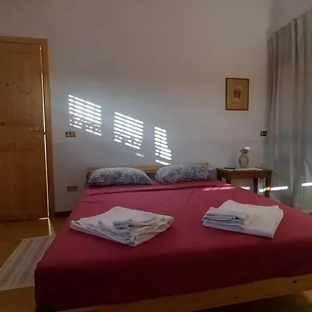 Ivo *